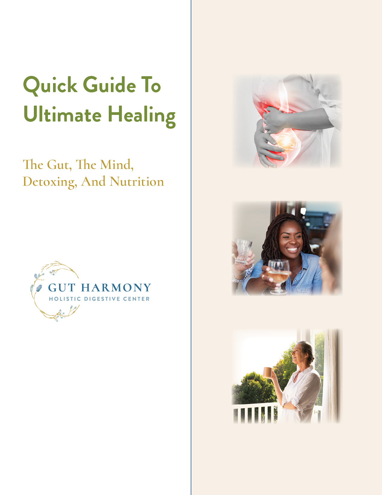 Clean, professional medical spa treatment room with neutral tones at Gut Harmony in Mount Pleasant